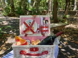 a picnic basket with a bottle of wine and bread at LN ETNA HOUSE-villa ad uso esclusivo in Pedara