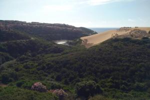 Táj Show holiday homes közelében