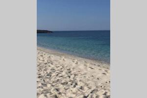 Táj Show holiday homes közelében