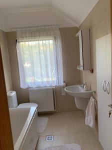 La salle de bains est pourvue d'un lavabo, de toilettes et d'une fenêtre. dans l'établissement Casa din Grădină, à Moieciu de Jos