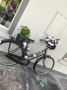 Una bicicleta con flores en una cesta estacionada contra una pared en Laithreach Briuin B&B W23E0H9, en Maynooth