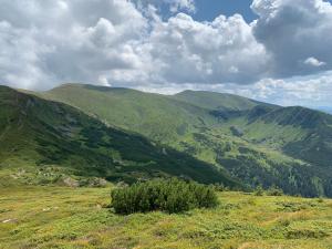 a view of a green mountain range with a bush at Eco Sadyba Familia in Yaremche