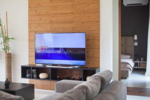uma sala de estar com um sofá e uma televisão em Villa Olea em Klimno