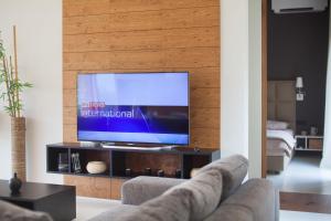 TV a/nebo společenská místnost v ubytování Villa Olea