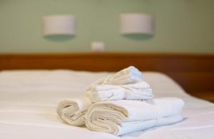 Postel nebo postele na pokoji v ubytování Hotel Roma