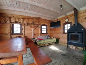 a living room with a wood stove in a cabin at Stary Spichlerz nad Wartą in Osjaków