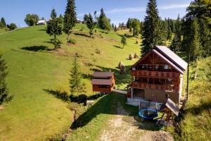an aerial view of a house in a field at Cabana Sânziana in Gîrda de Sus