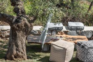 a tree with a bench and a table and a tree at The Olive Yard in Gythio