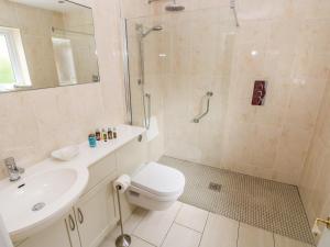 a bathroom with a toilet and a sink and a shower at The Headlands - Gower in The Mumbles +26 photos