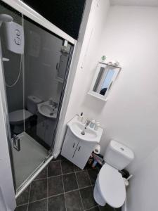 uma casa de banho com um WC, um lavatório e um chuveiro em Bvapartments-Queensgate em Huddersfield