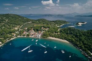 eine Luftaufnahme eines Strandes mit Booten im Wasser in der Unterkunft Apartments Pitarević in Saplunara