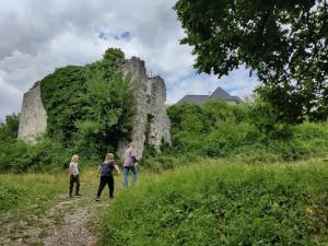 a group of people walking down a dirt road at Amazing apartment in Stari Trg pri Ložu