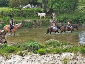 Gallery image of Ferme Equestre Les Coccinelles in Lurs