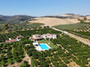 uma vista aérea de uma villa numa vinha com piscina em Agriturismo Trappeto Vecchio em San Demetrio Corone