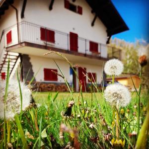 ein Haus mit roten Türen und Löwenzahn im Gras in der Unterkunft Baita Mael in Armeno