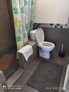 Koupelna v ubytování Apartman Đorđević