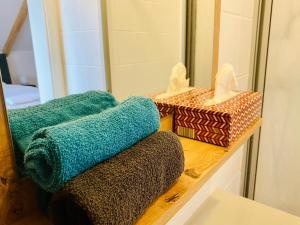 ein Badezimmer mit zwei Handtüchern auf einer Theke vor einem Spiegel in der Unterkunft Haus Sonnsitzer in Sommereben