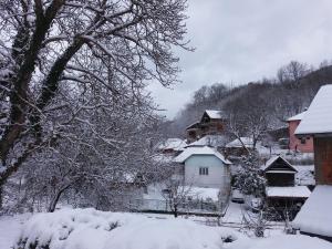 einen schneebedeckten Hof mit Häusern und Bäumen in der Unterkunft Mountain Village House in Čukljenik in Niš