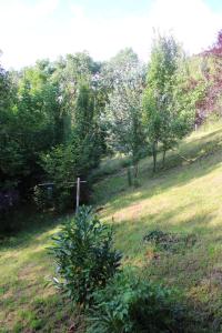 un campo de césped con árboles en el fondo en Petit maison du Vallon en Marcillac-Vallon