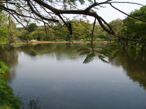 Uma vista do lago perto da casa de temporada