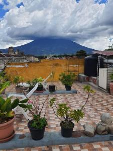 a group of potted plants sitting on a roof at Hotel Acatenango Inn in Antigua Guatemala