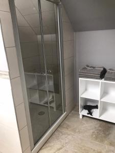 a shower with a glass door in a bathroom at Fachwerk-Maisonette-Wohnung -zur Tenne- in Rieste