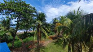 Zahrada ubytování Hotel Pura Natura Beachfront Tortuguero