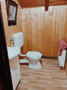 a bathroom with a toilet and a sink at Cabana Roșia in Roşia