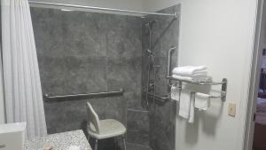 y baño con ducha, aseo y lavamanos. en Sylvania Inn-Sylvania,Statesboro, GA-Georgia Southern Univ GSU, en Sylvania