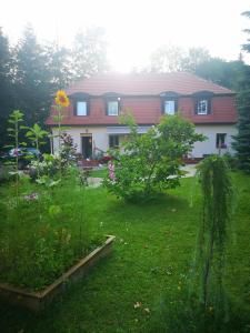 una casa con giardino di fronte di Pod Gadającym Kotem a Długopole-Zdrój