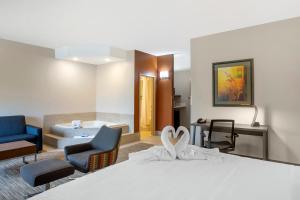 Habitación de hotel con cama y baño en Holiday Inn Express Branson- Green Mountain Drive, an IHG Hotel, en Branson