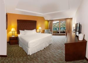 Posteľ alebo postele v izbe v ubytovaní Hotel Plaza Juan Carlos