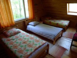 a room with two beds in a cabin at Brīvdienu māja Lejas in Pope