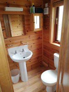 La salle de bains est pourvue d'un lavabo blanc et de toilettes. dans l'établissement Wooden Forest Lodge by the sea, à Milford on Sea