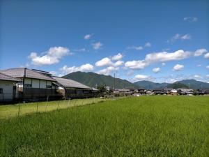 a field of green grass with houses and mountains at Neko Neko La Campagne in Tamba