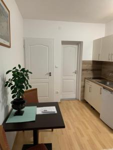 A kitchen or kitchenette at Lilium Villa Hévíz