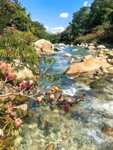 Příroda nedaleko penzionu