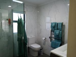 ein Bad mit einer Dusche, einem WC und einem Waschbecken in der Unterkunft Sunbrae Beach luxury in Mount Maunganui