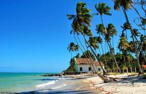 una casa su una spiaggia con palme e l'oceano di Hotel Pousada Mar Azul a Tamandaré