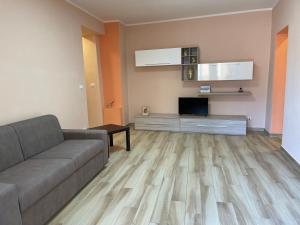 Una sala de estar con un sofá y un televisor. en “I Niputeddi”, en Nicolosi