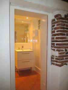 een badkamer met een wastafel en een spiegel bij L' Appart in Toulouse +21 foto's