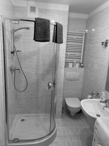 ミエンジズドロイェにあるVilla Mareのバスルーム(シャワー、トイレ、シンク付)