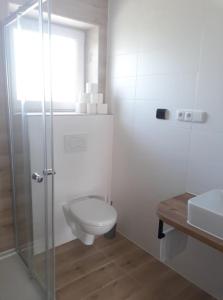 Koupelna v ubytování Apartmánový dům na kolonádě + 19 fotografií