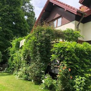 Vonkajšia záhrada v ubytovaní Leśna 6 - House with a garden