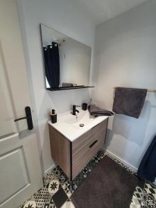 La salle de bains est pourvue d'un lavabo et d'un miroir. dans l'établissement Le Loft de blossac, à Poitiers