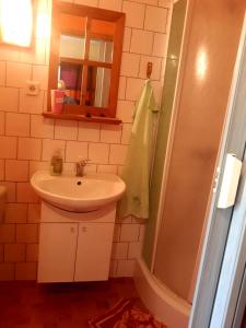 a bathroom with a sink and a shower at Bella Vita in Český Krumlov