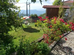 un jardín con flores rosas en un patio en Castelo dos Sonhos, en Valadares