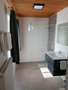 a bathroom with a sink and a shower and a mirror at Haus Oswald am See in Hermagor