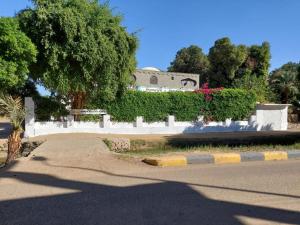 A garden outside Nubian Holiday House Aswan