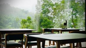 the country house周边自然景观